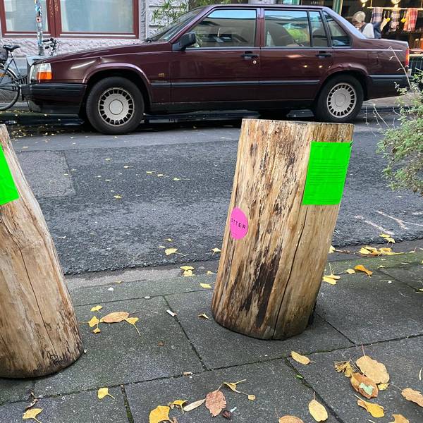 Holzstamm Gefahr Körnerstraße Meyszner