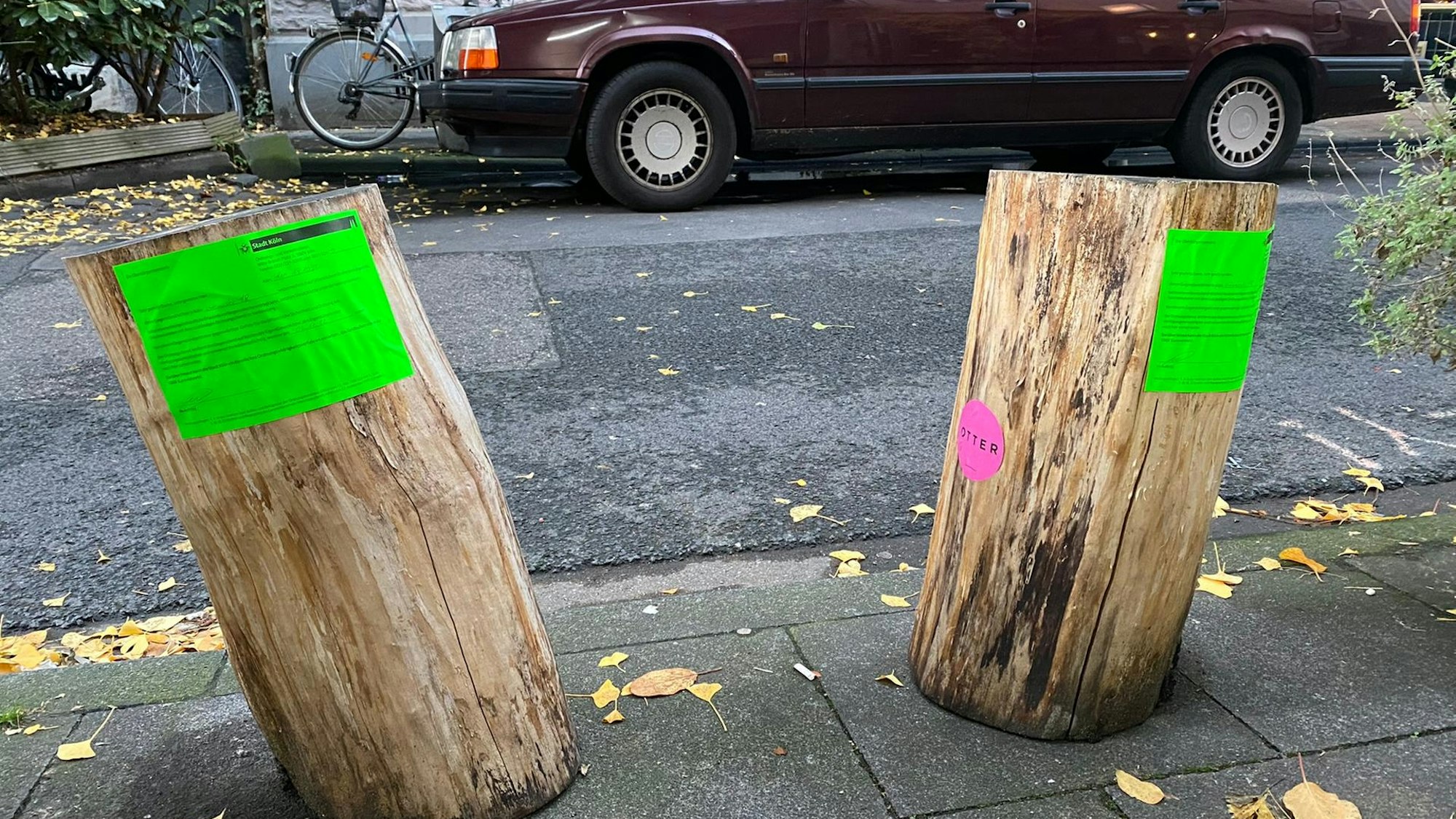 Auch diese Holzstämme wurden vom Ordnungsamt als Gefahr markiert.