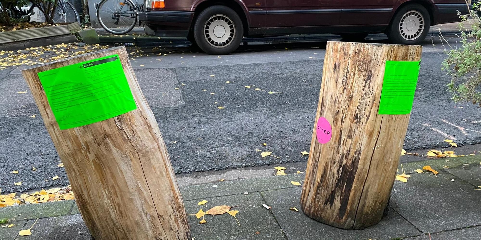 Holzstamm Gefahr Körnerstraße Meyszner