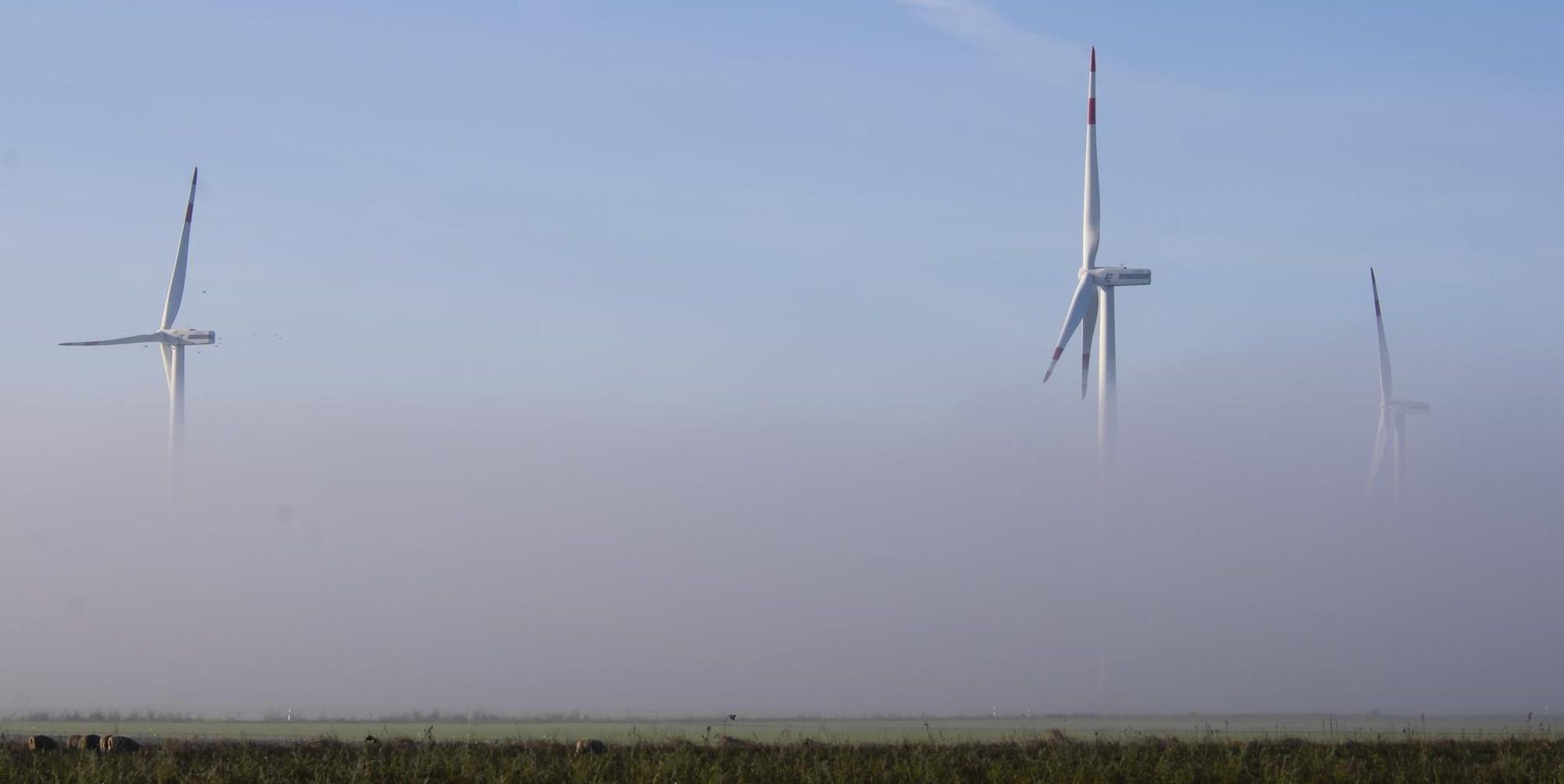 Windenergie