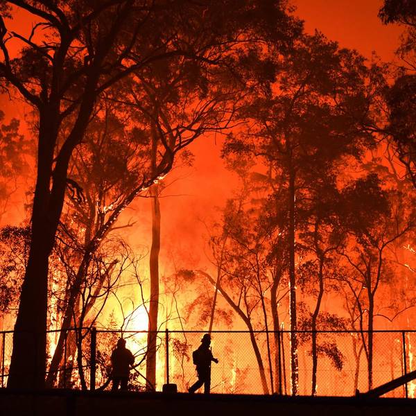 Buschfeuer Australien