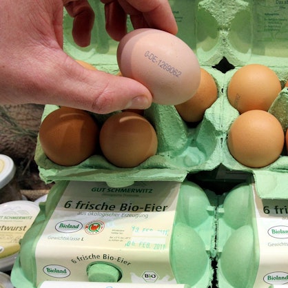 Bio-Eier_ausgetauscht