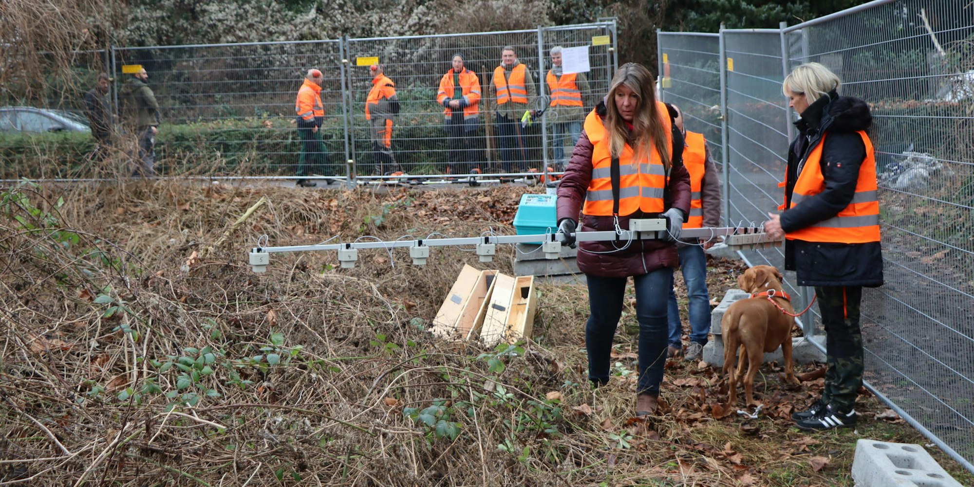 Igel-Rettung Brühl I