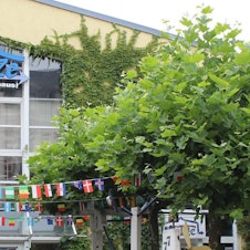 das-buergerhaus-muetze (1)