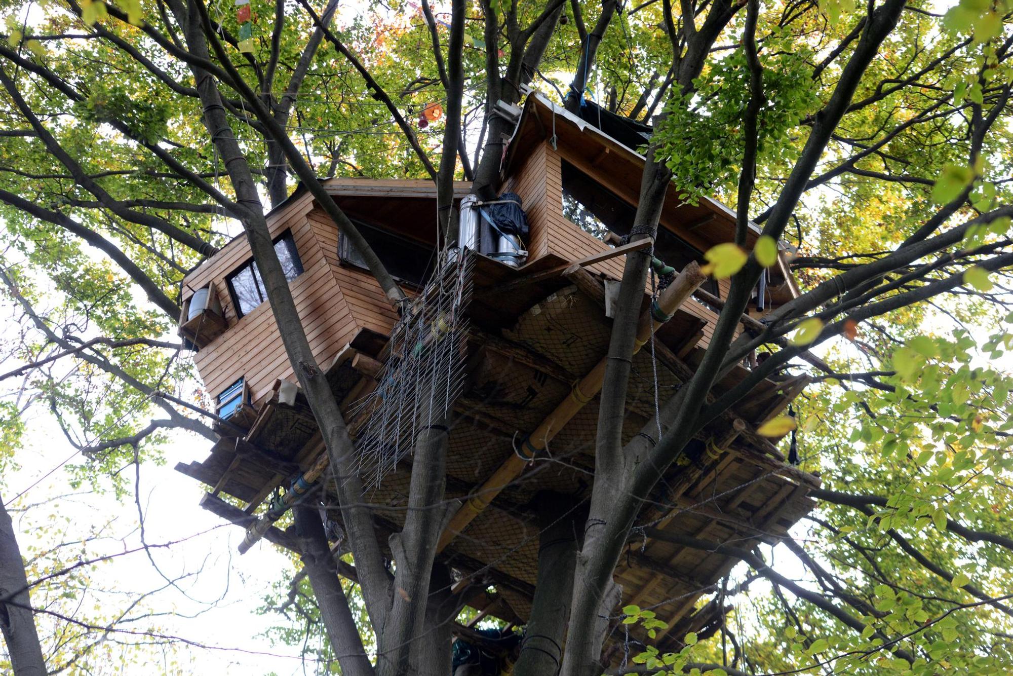071119hambacherforst042