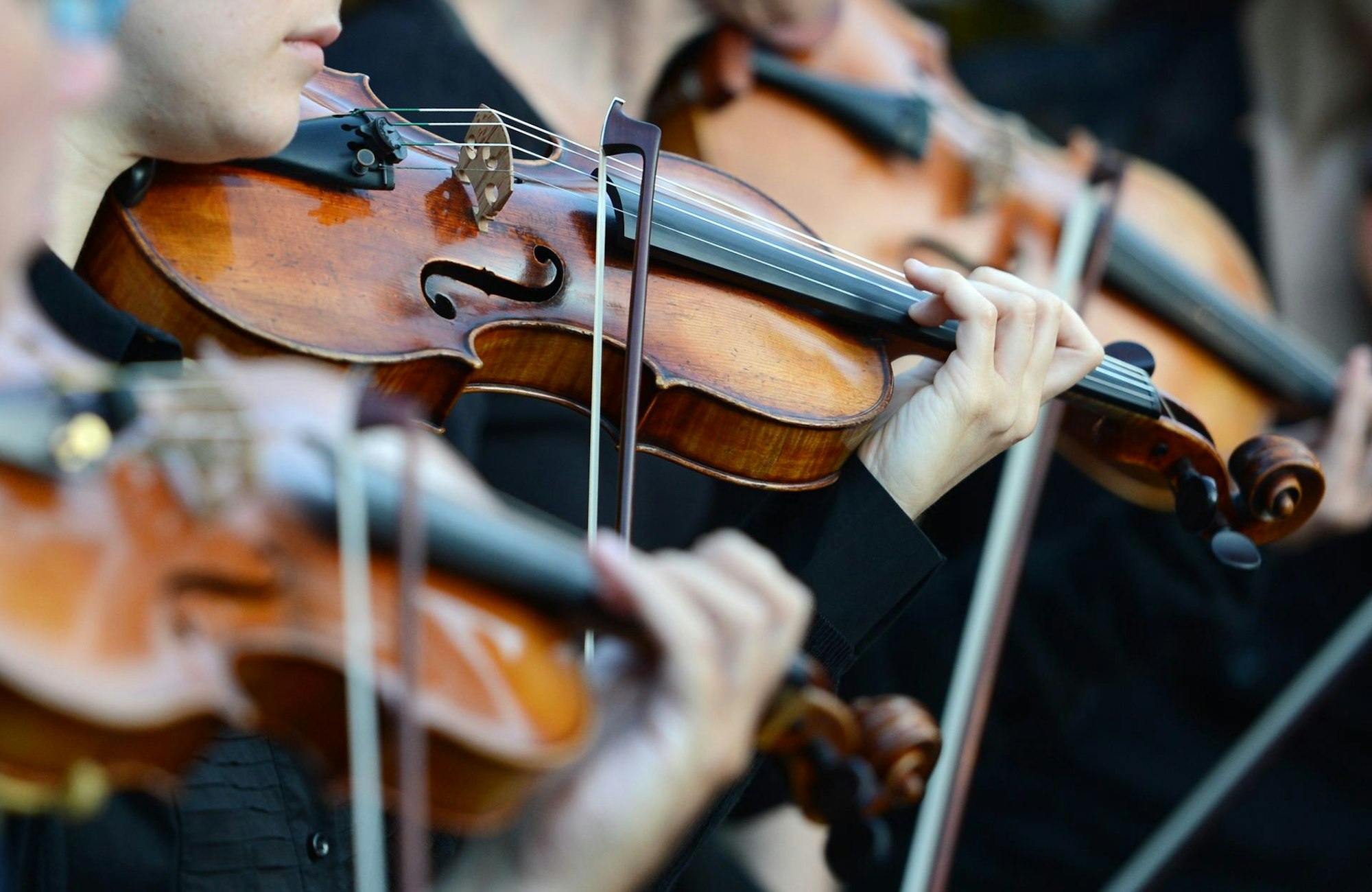 musik festival