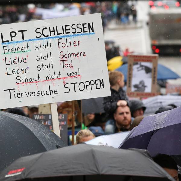 Neuer Inhalt (1)