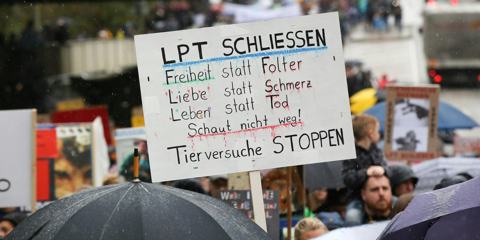 Neuer Inhalt (1)