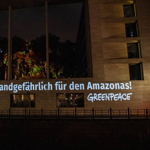 Mercosur Kritik