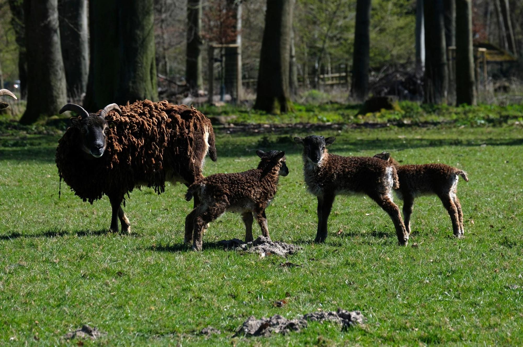 Neuer Inhalt (4)