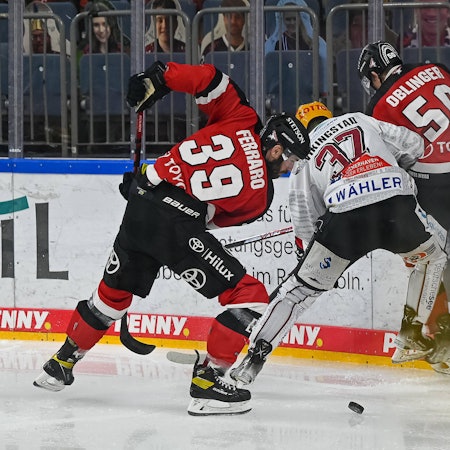 Kölner HAIE 3. Januar