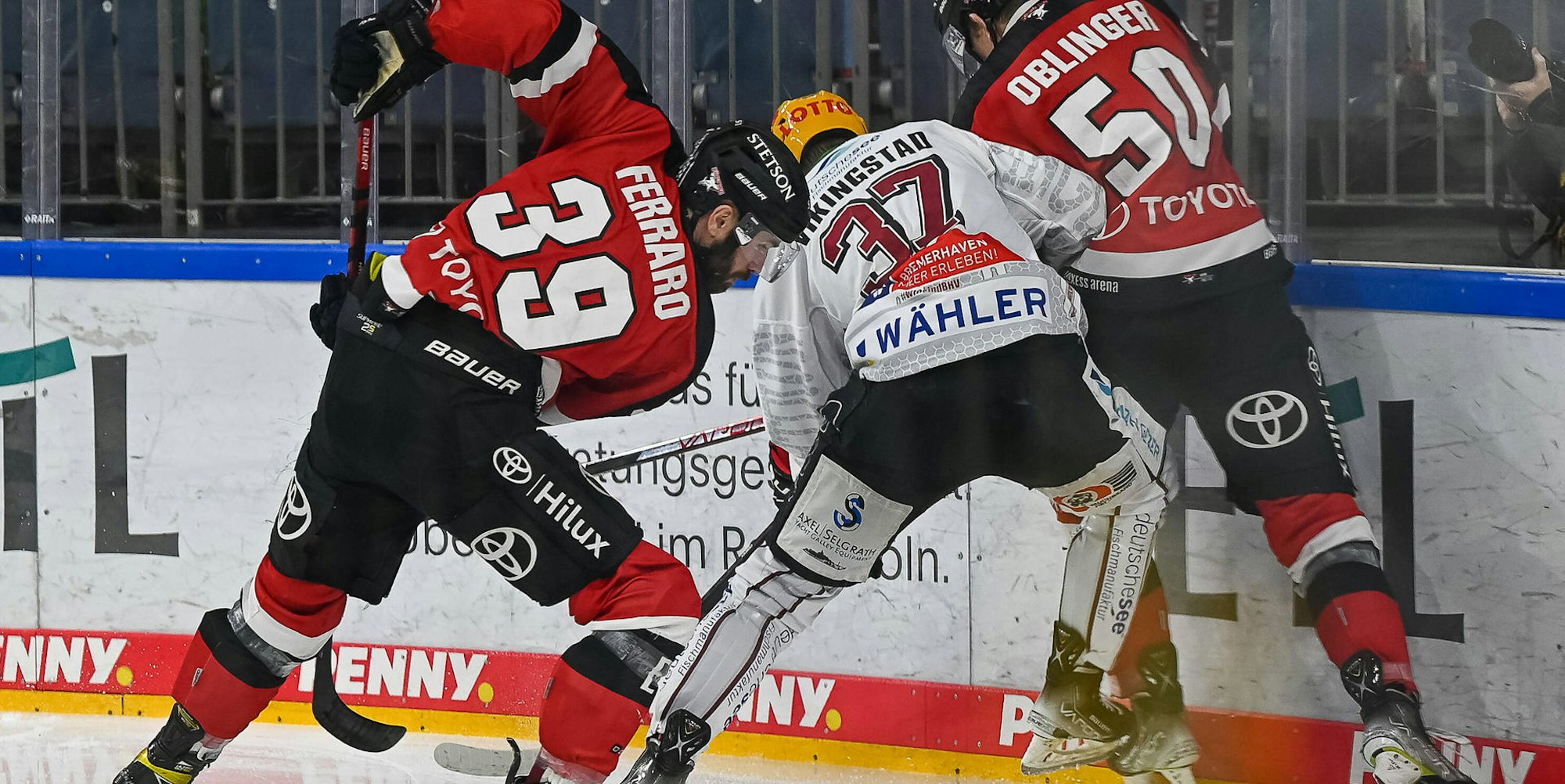 Kölner HAIE 3. Januar