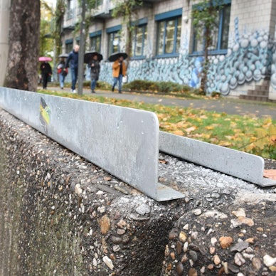 Mäuerchen Zülpicher