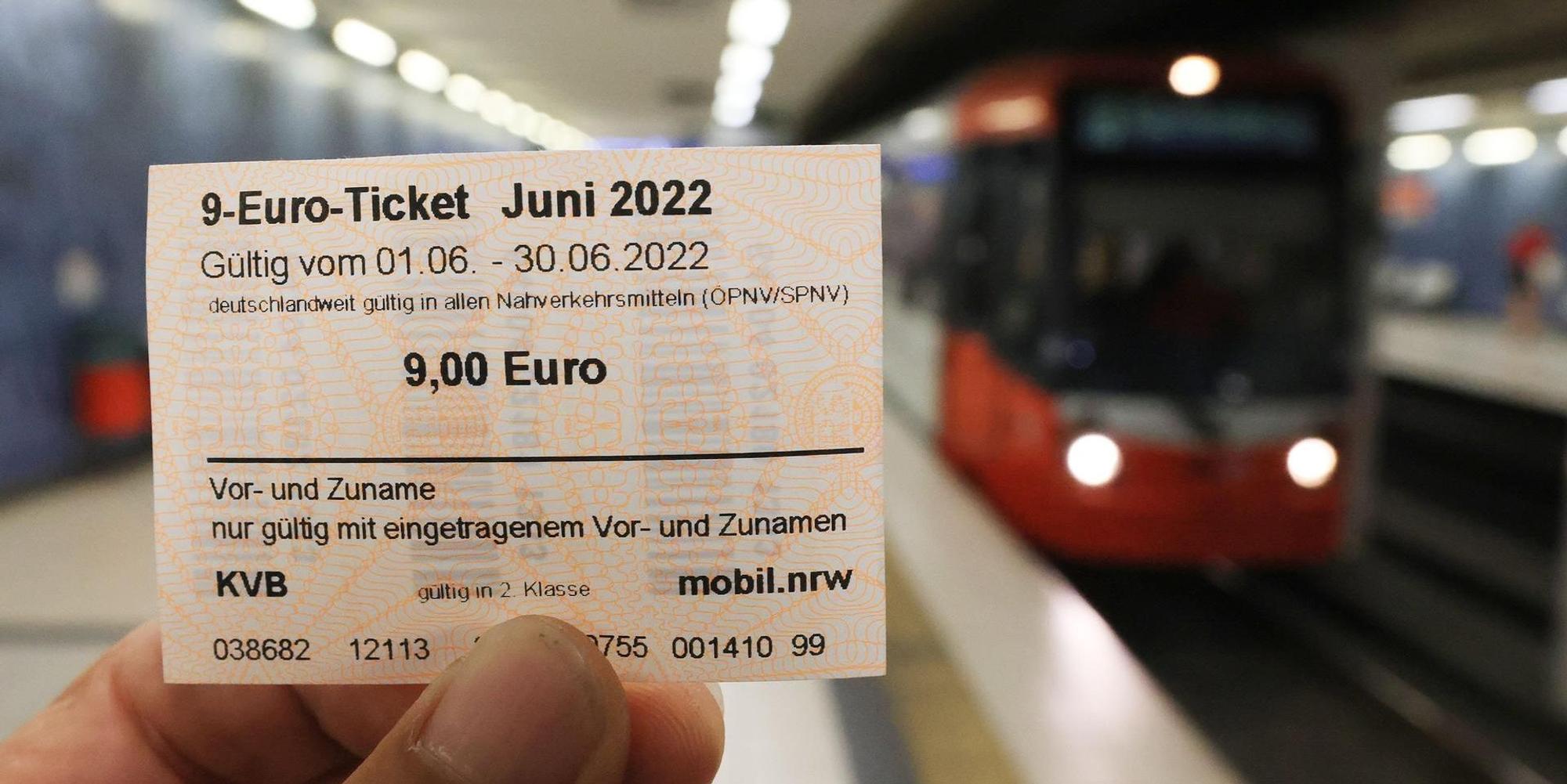 Neuer Inhalt (3)