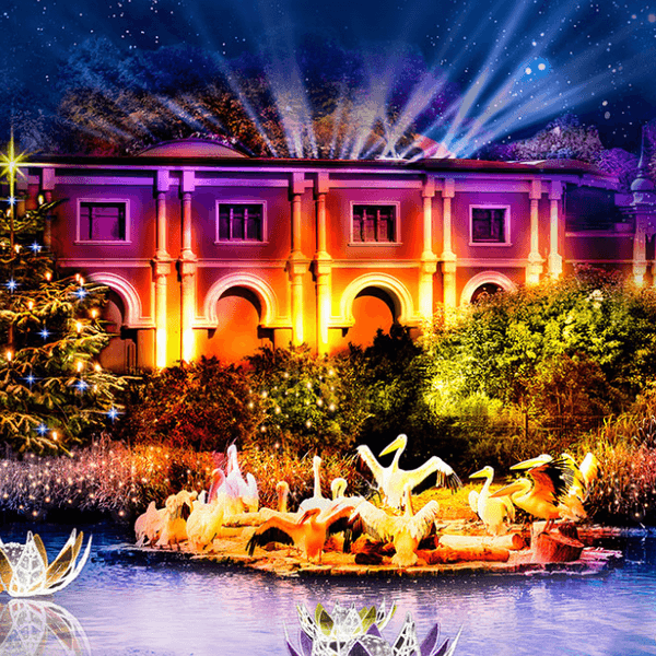 Christmas Garden