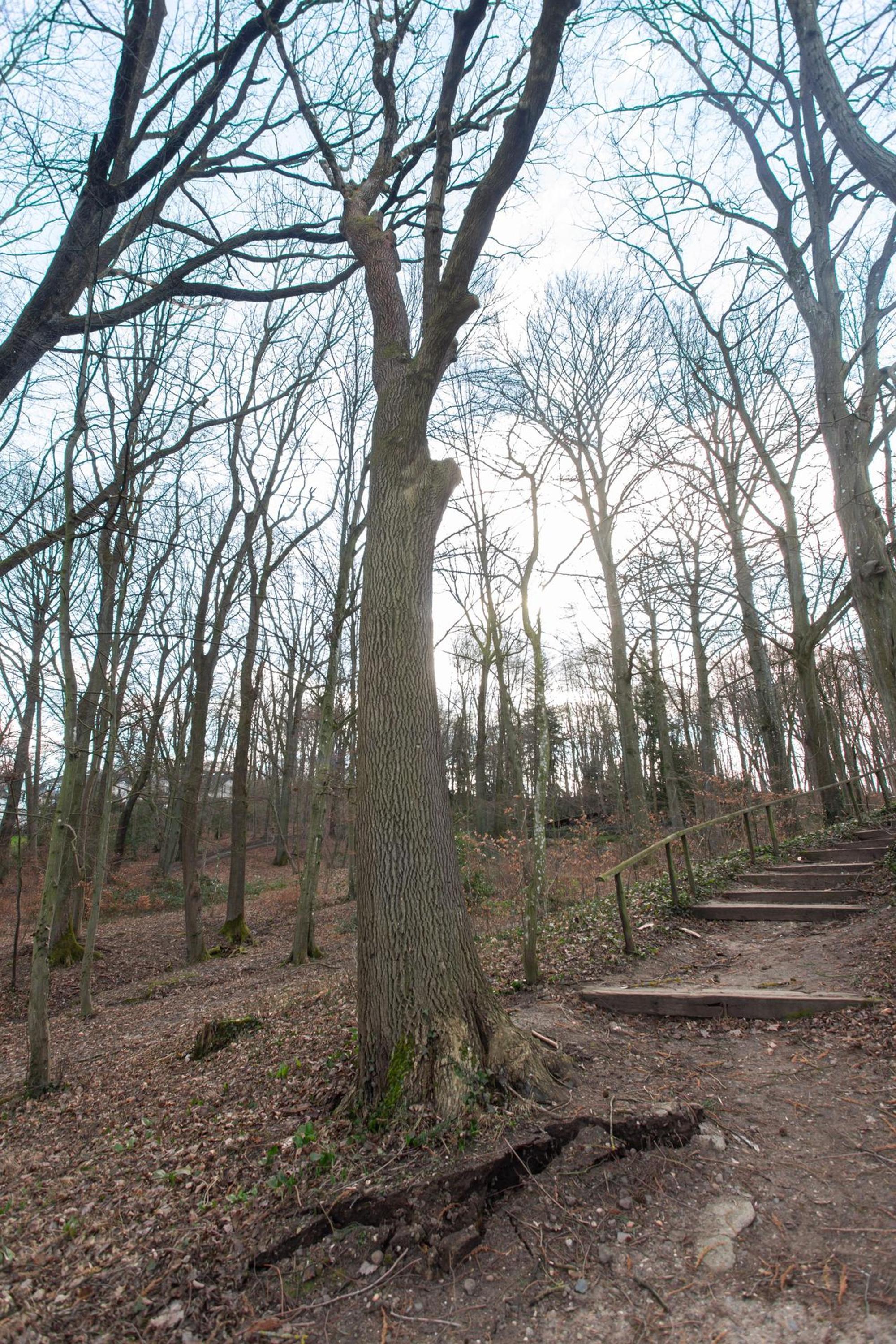 A Wahlenpark 2 keh