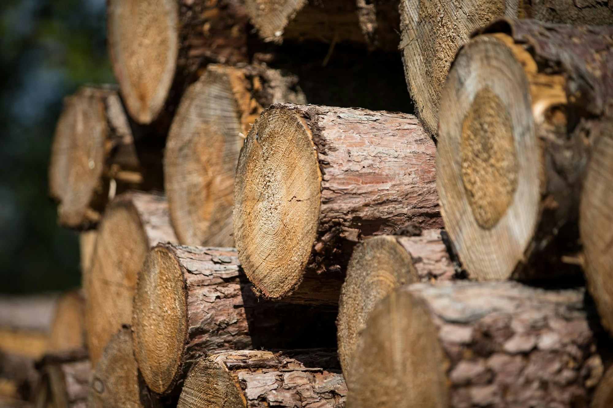 Holzstapel