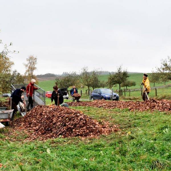 Solidarische_Landwirtschaft_Much