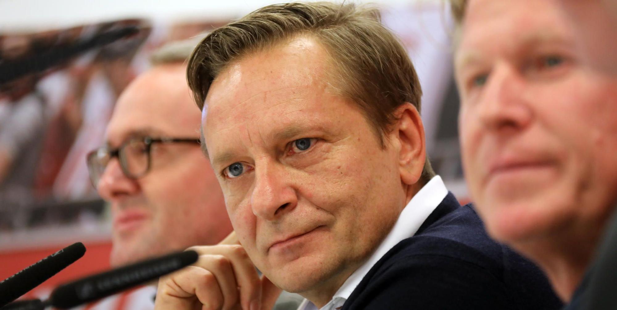 hotte heldt vorstellung