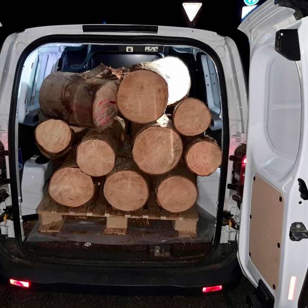 Holz Diebstahl