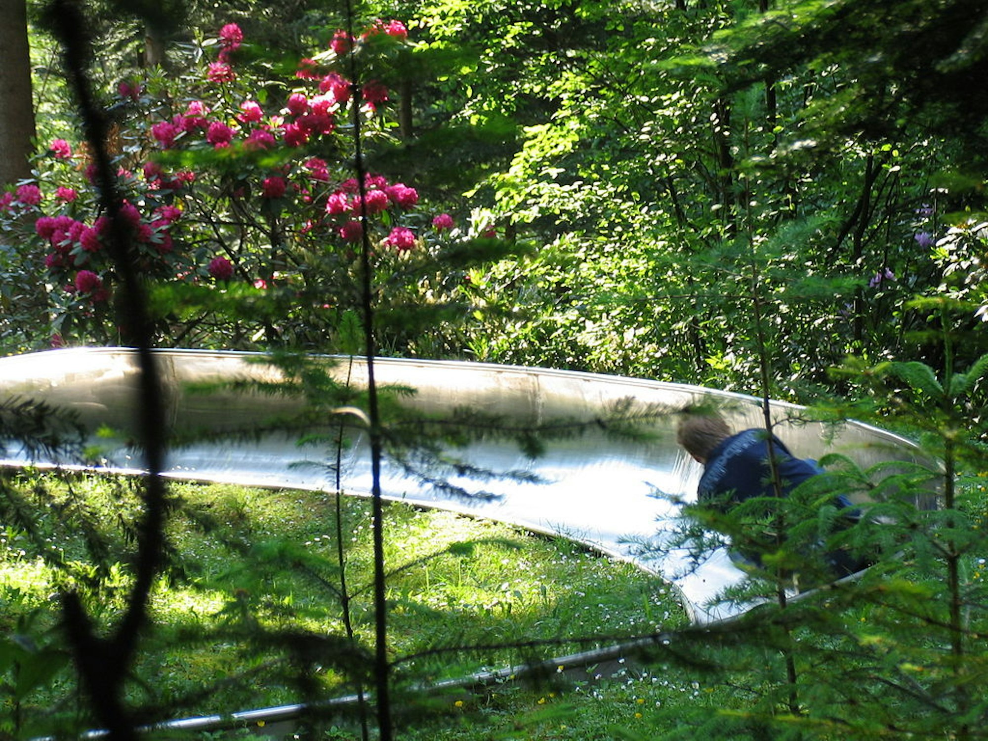 Die Sommerrodelbahn im Panorama Park.