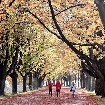 Decksteiner Weiher_ Schwaiger