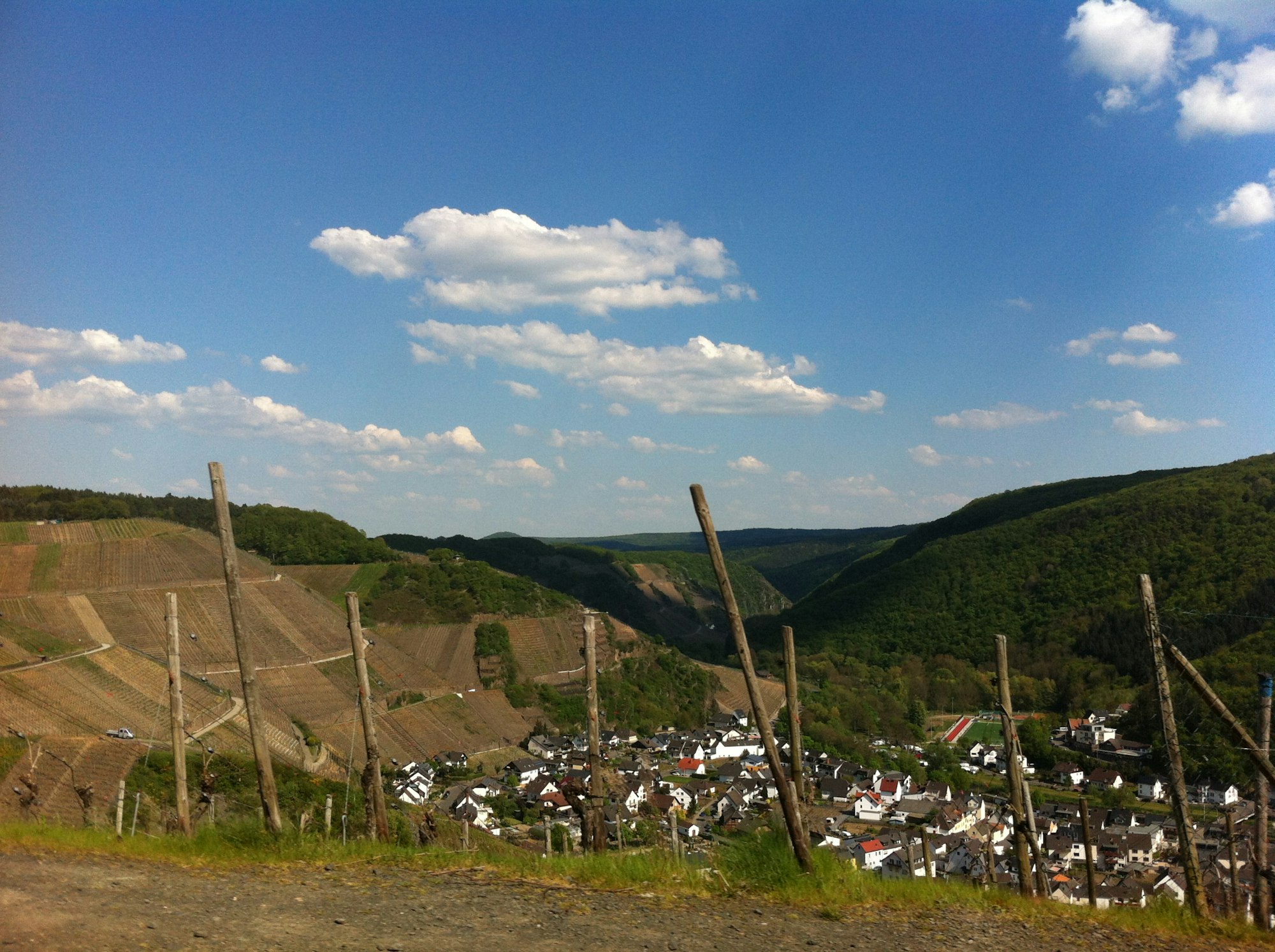 Ahr Weinberge Reiche