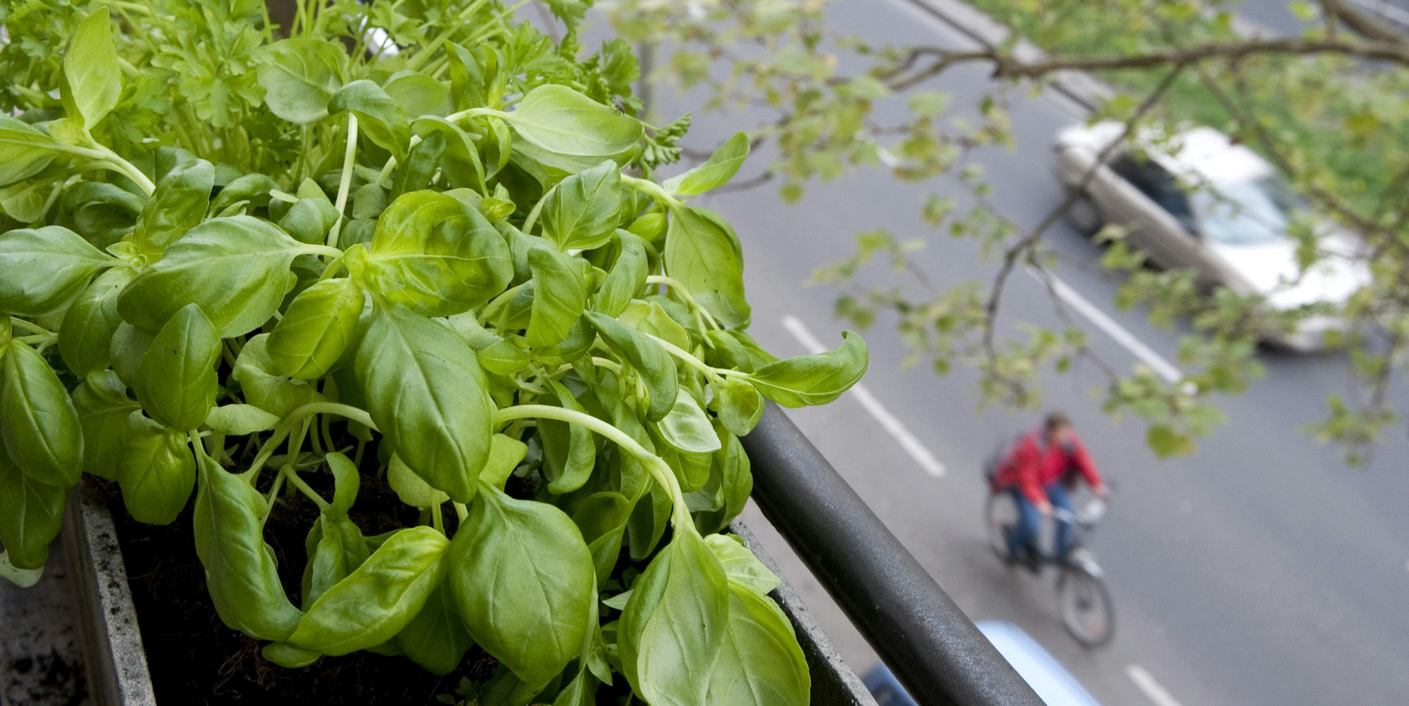 Apotheke auf dem Balkon