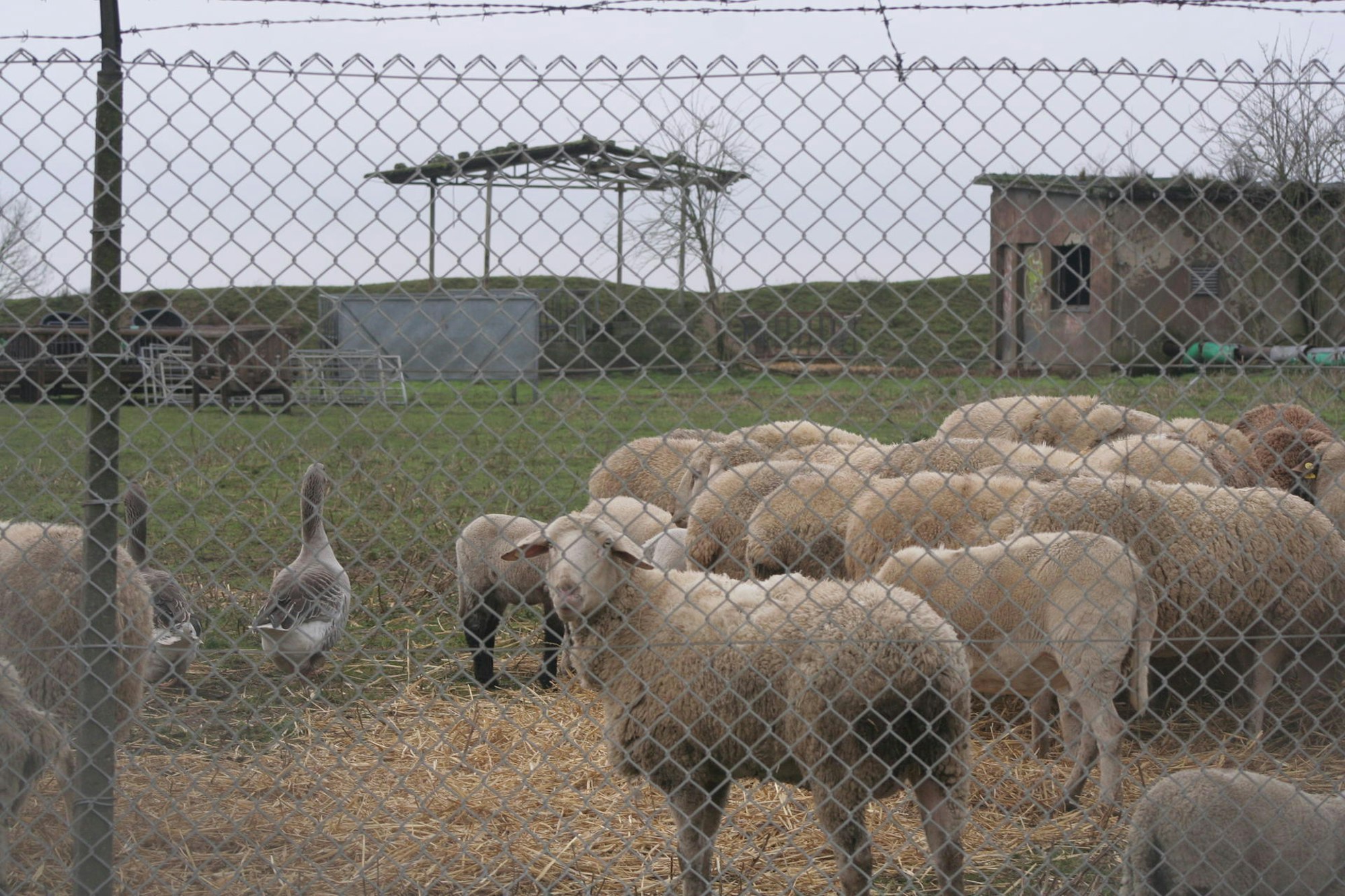Raketenbasis Bedburg
