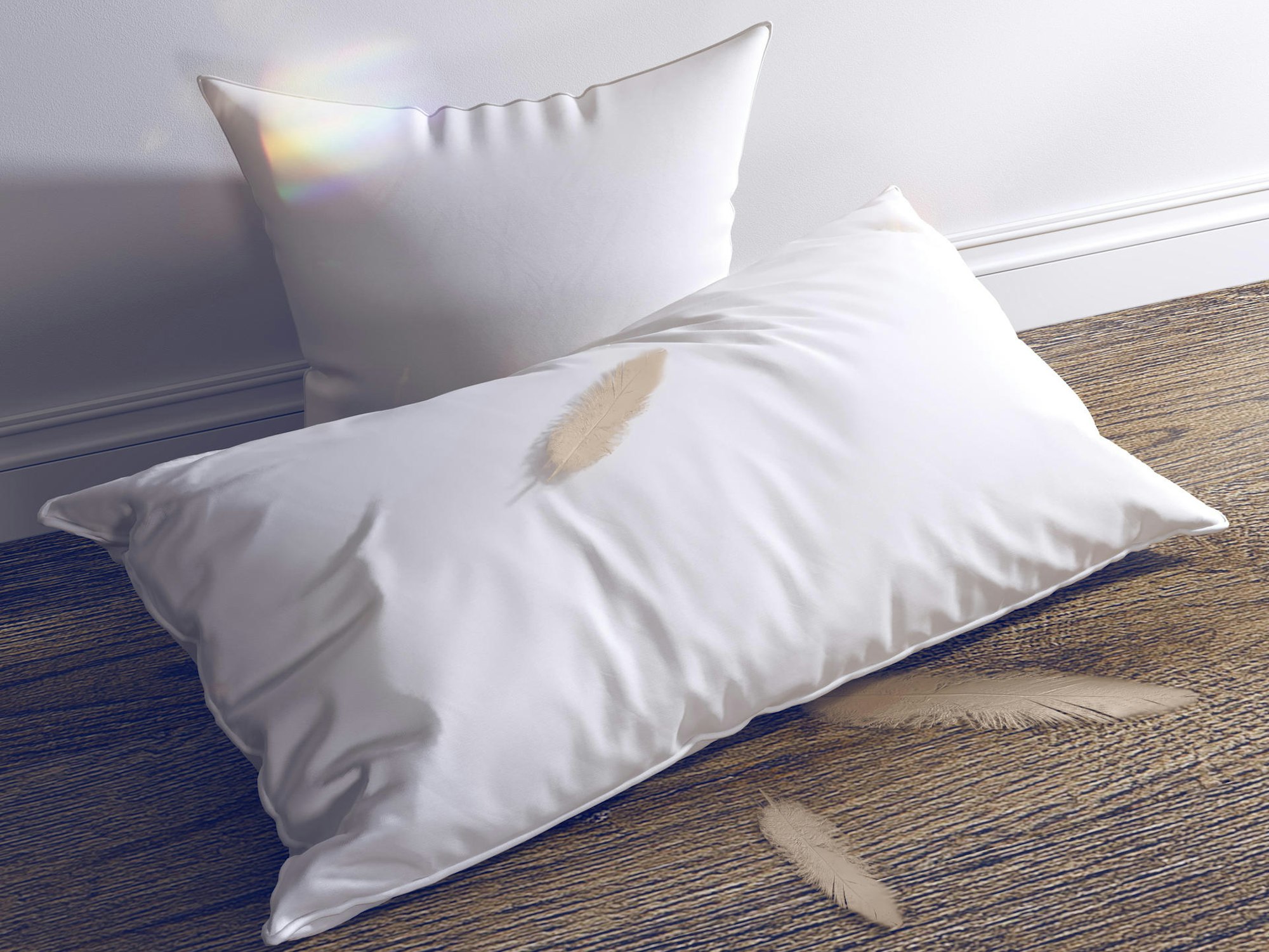 AdobeStock_258368930