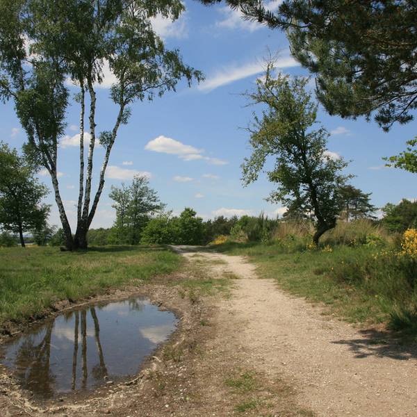 Wahner Heide NAturschutz Roland U. Neumann