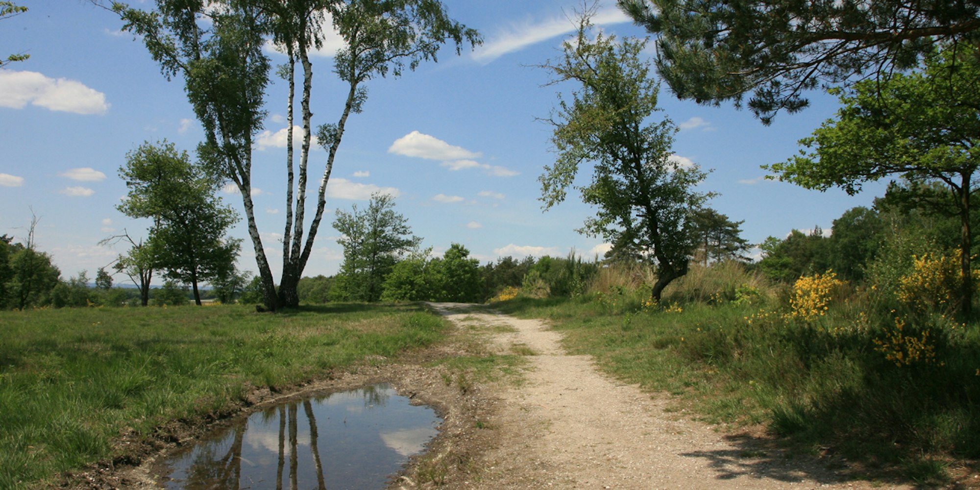 Wahner Heide NAturschutz Roland U. Neumann