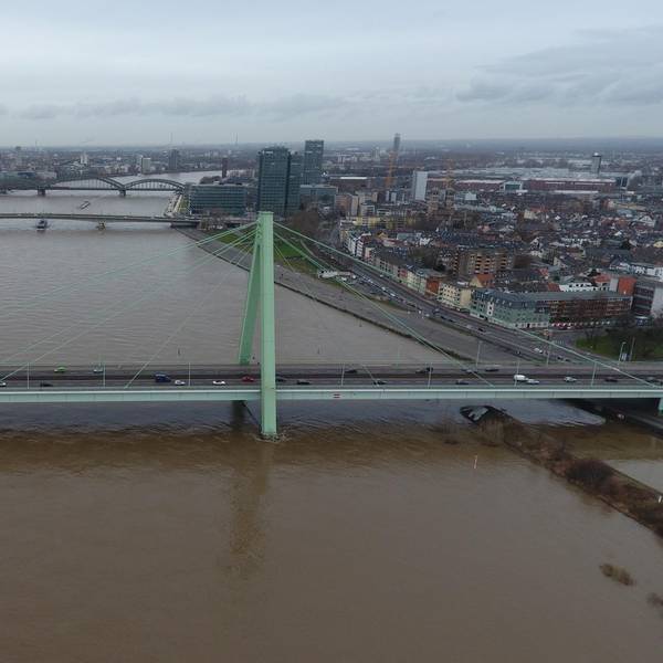 Rhein Hochwasser