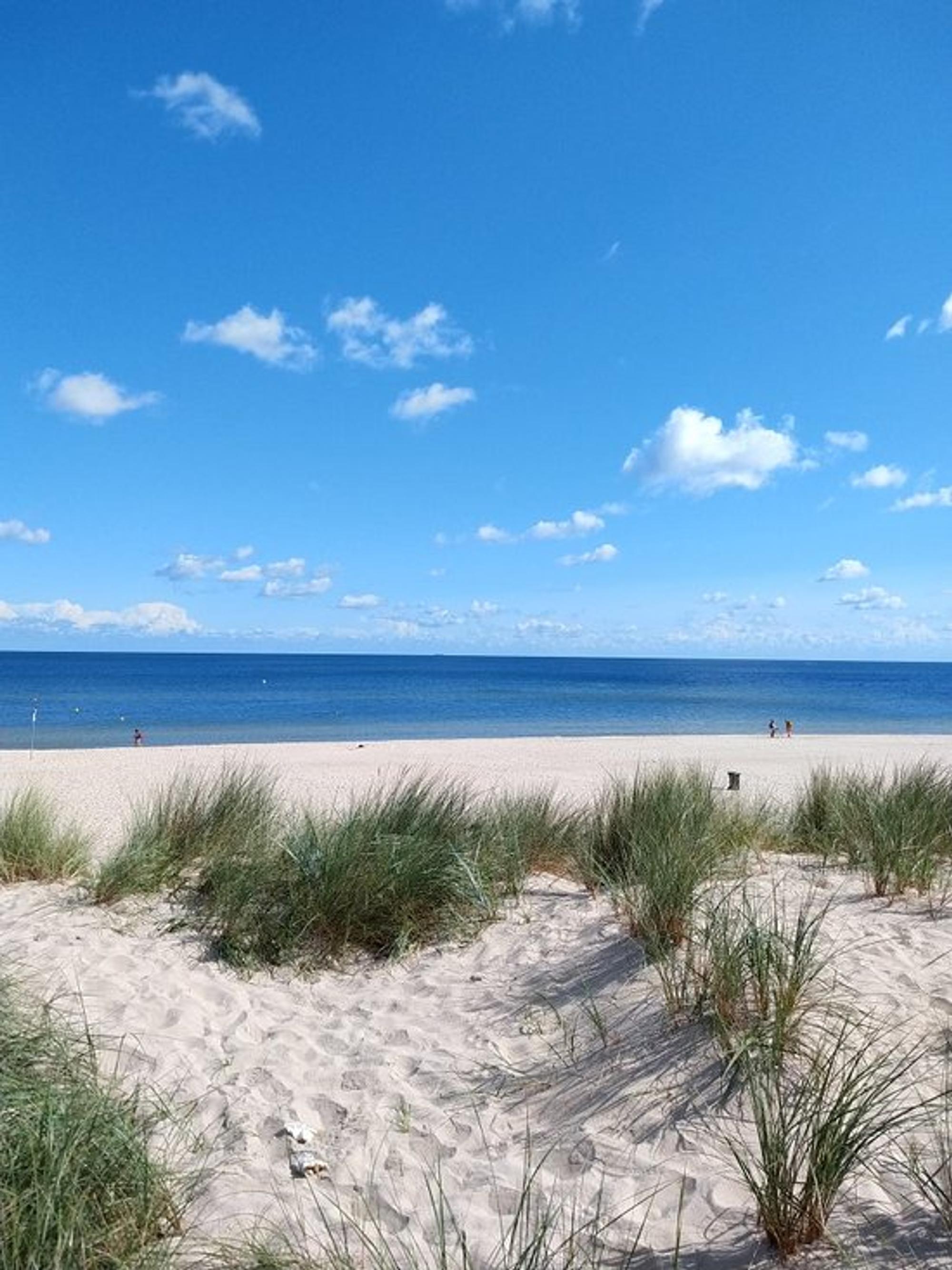 10. Trassenheimer Strand (1)