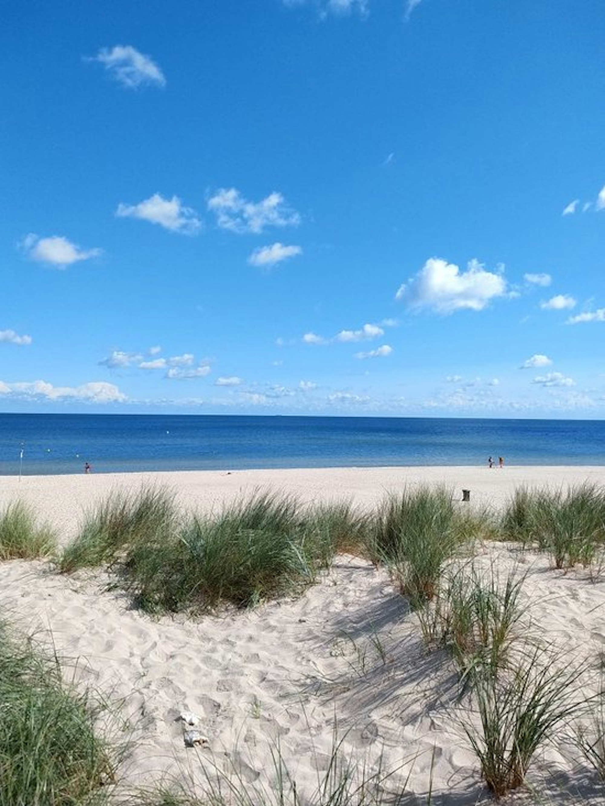 10. Trassenheimer Strand (1)