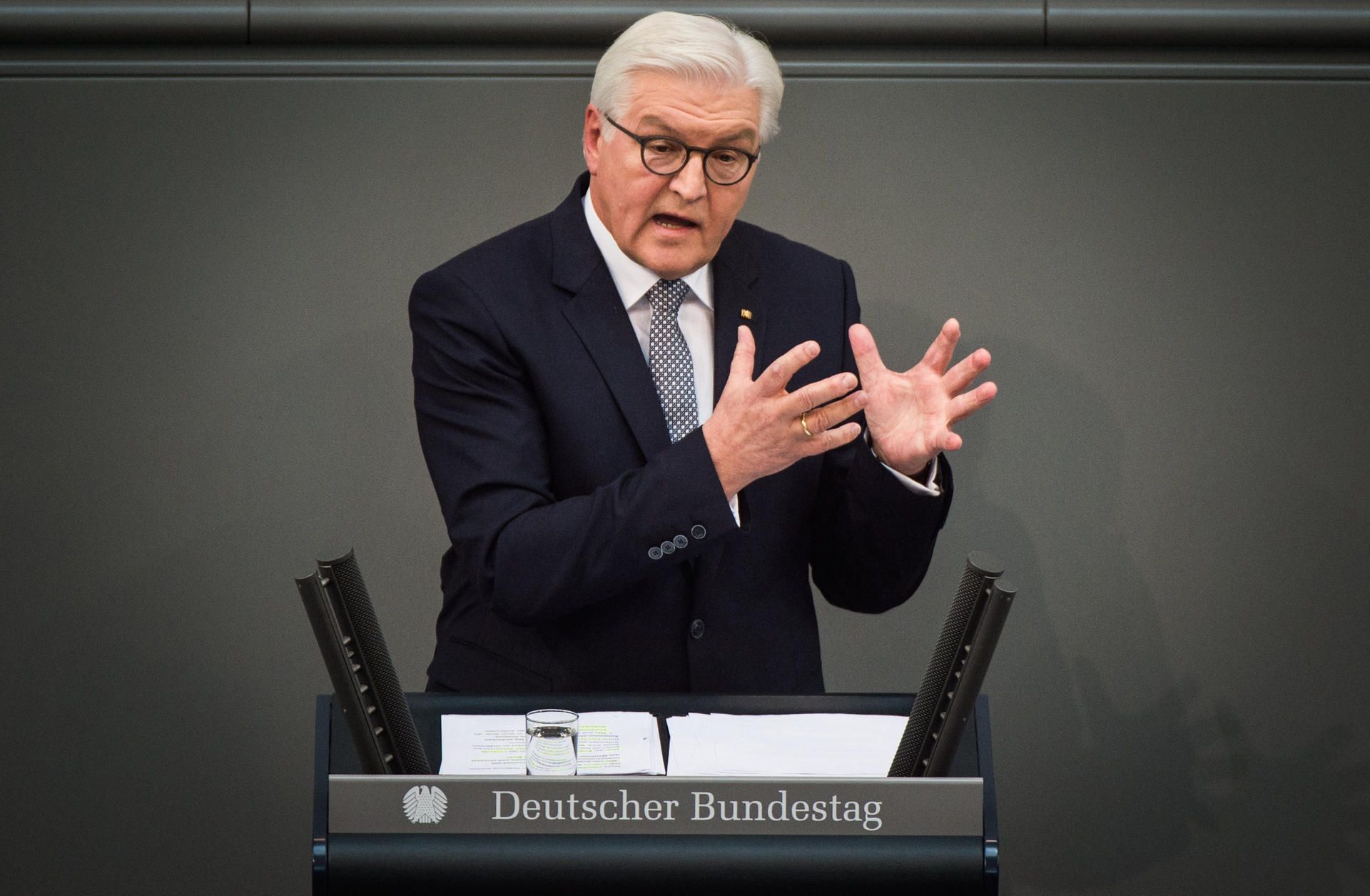 Steinmeier (1)
