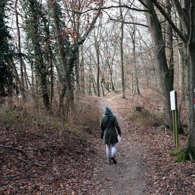 Keltenwanderweg Bad Breisig Hedrich