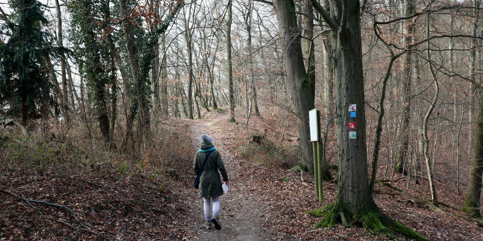 Keltenwanderweg Bad Breisig Hedrich