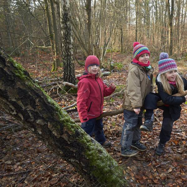 kinder winter im wal