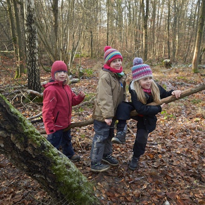 kinder winter im wal