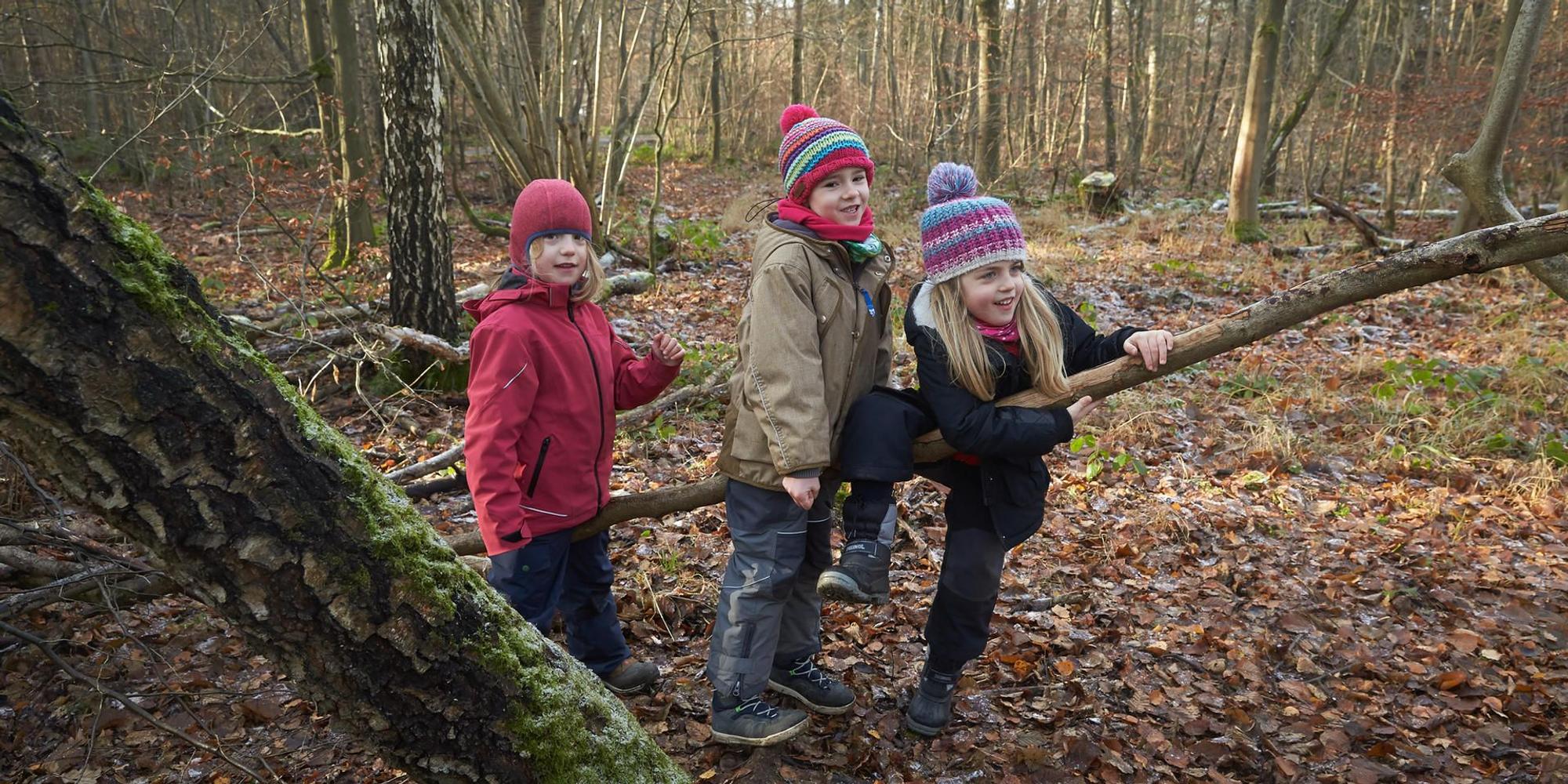 kinder winter im wal