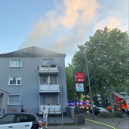 Brand Niehl 1