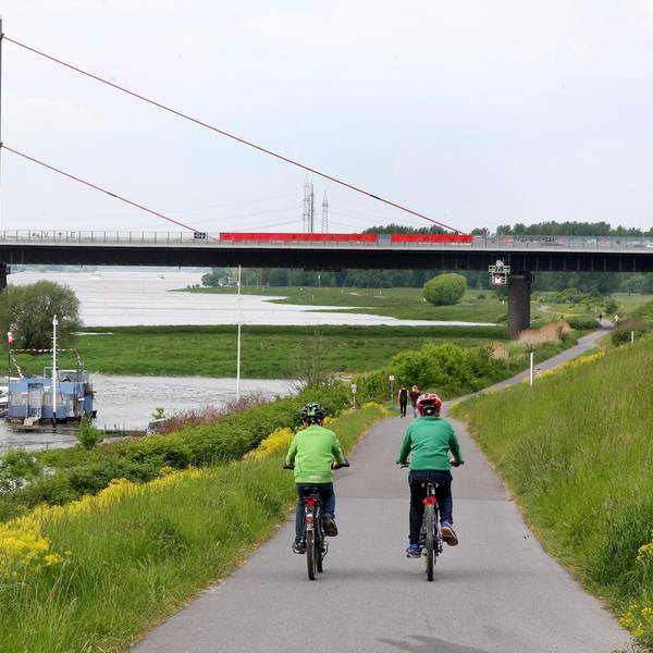 sommerserie dhünn mit rad Dhuenn-Runde_8719