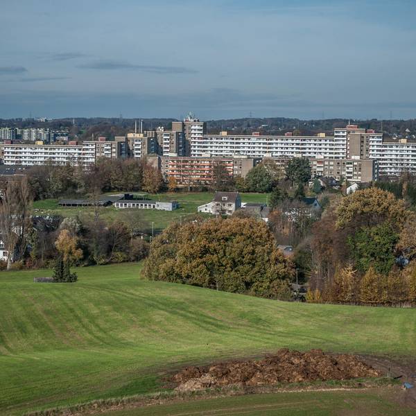 steinbuechel--leverkusen_ALF_2649