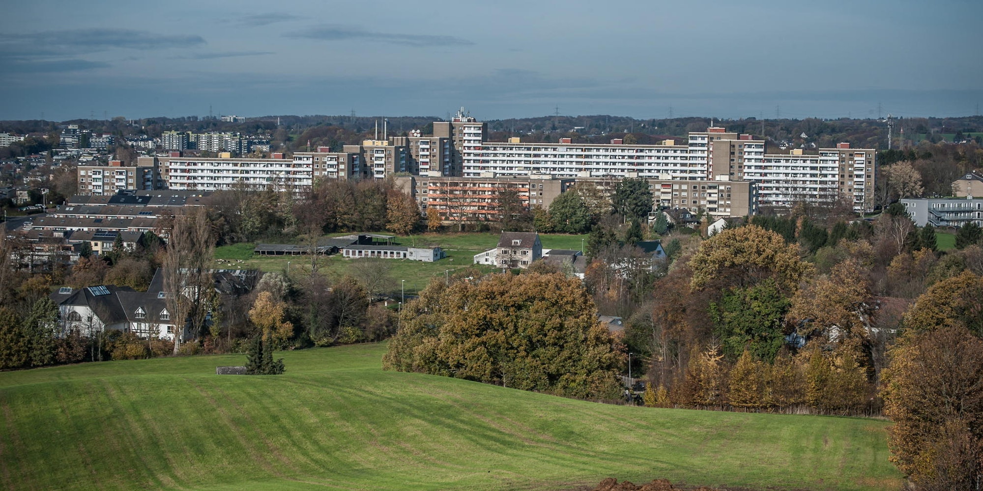 steinbuechel--leverkusen_ALF_2649