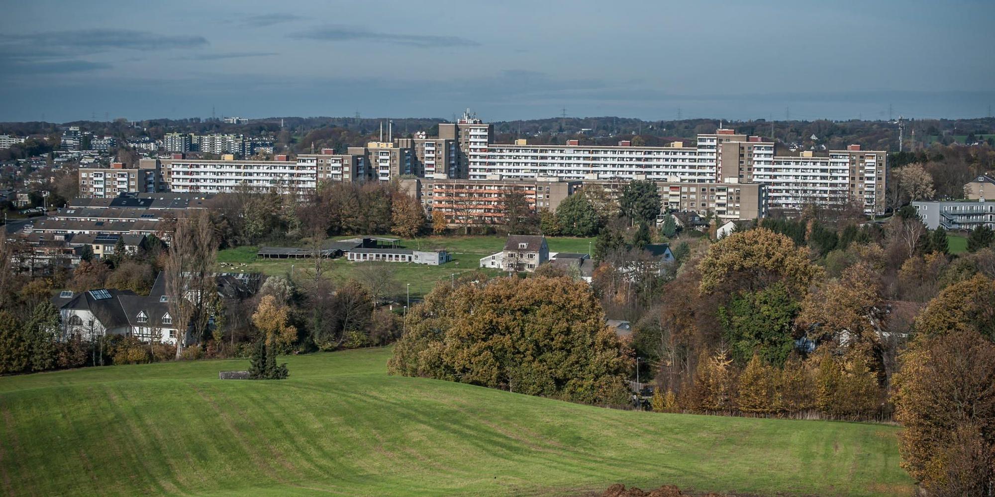 steinbuechel--leverkusen_ALF_2649