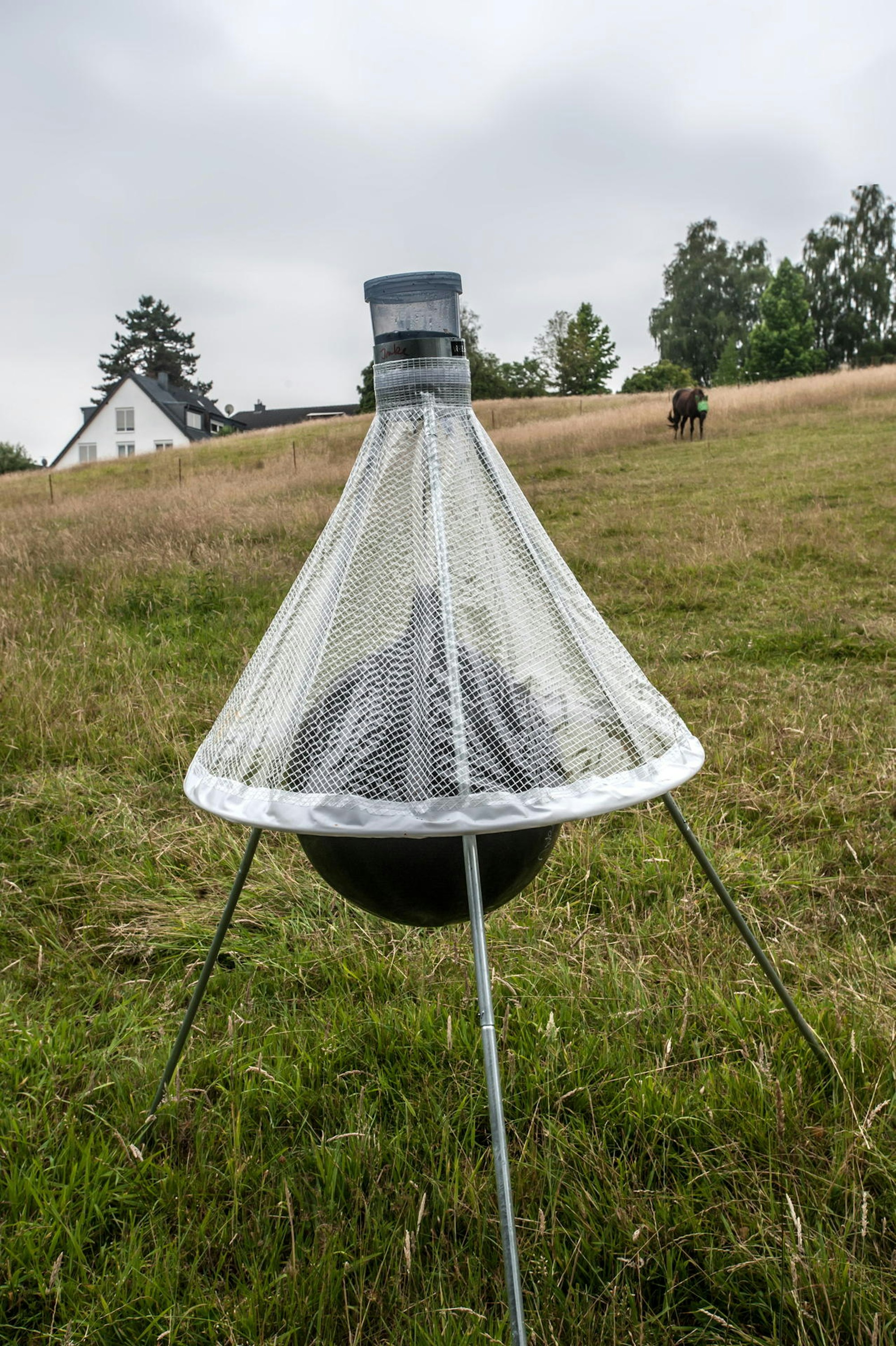 leverkusen-insektenfalle-ALF_2416