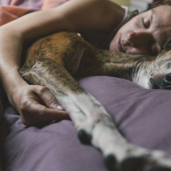 Frau schläft mit ihrem Hund im Bett