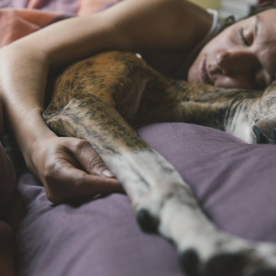 Frau schläft mit ihrem Hund im Bett