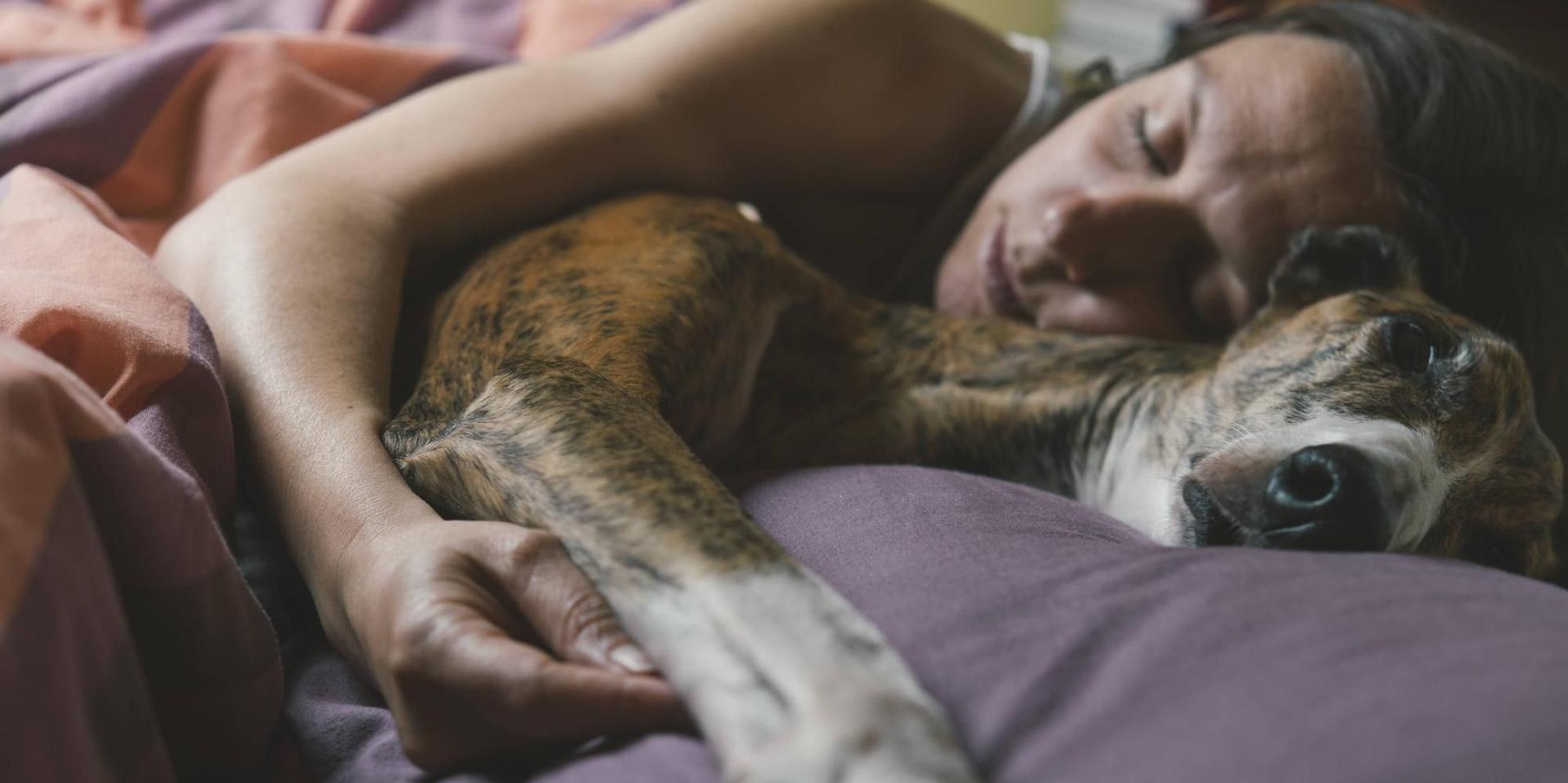 Frau schläft mit ihrem Hund im Bett